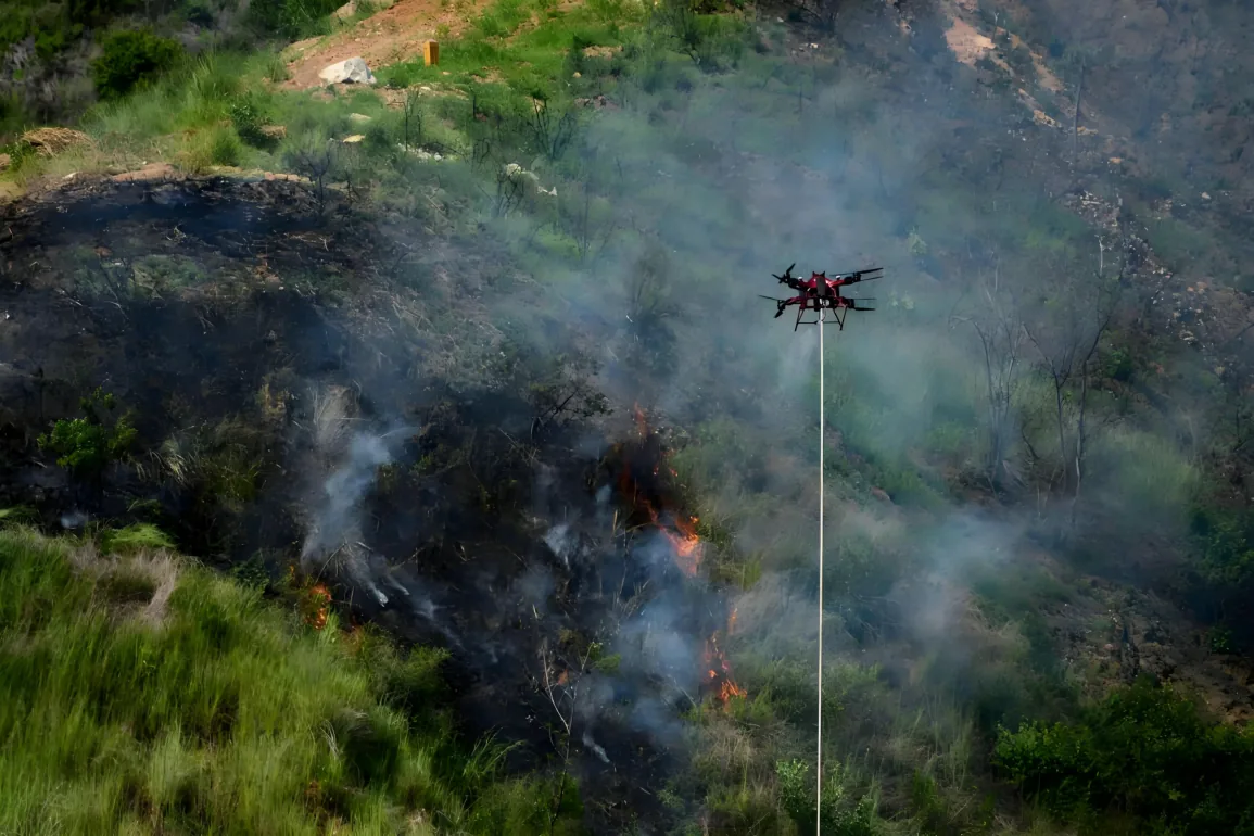 Forest Fire and Outdoor Fire-Line Support